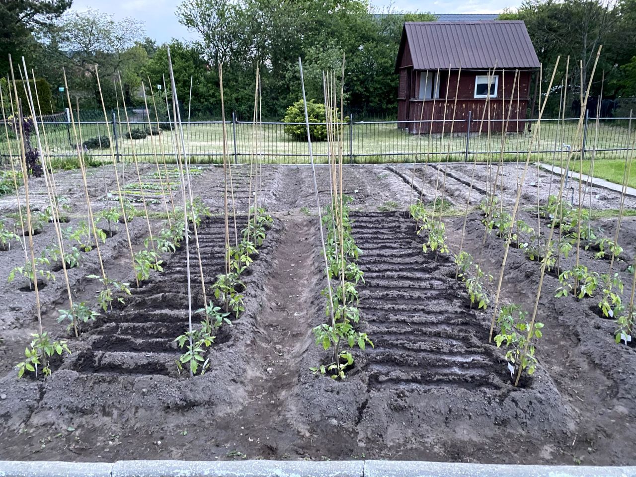 Działka rod Białystok Wygoda, ul. Krzysztofa Pendereckiego. Zdjęcie 5