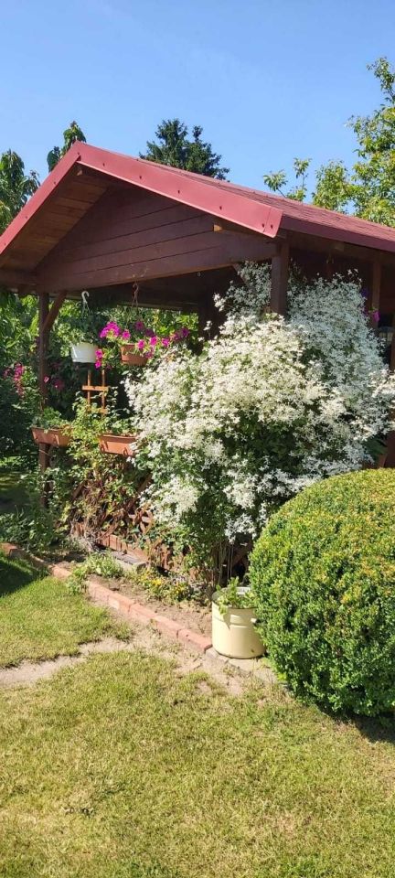 Działka rod Bydgoszcz Czyżkówko, ul. Siedlecka. Zdjęcie 5