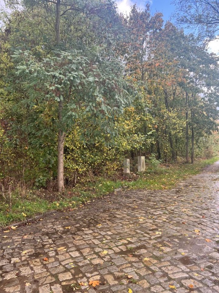 Działka budowlana Dobiegniew. Zdjęcie 2