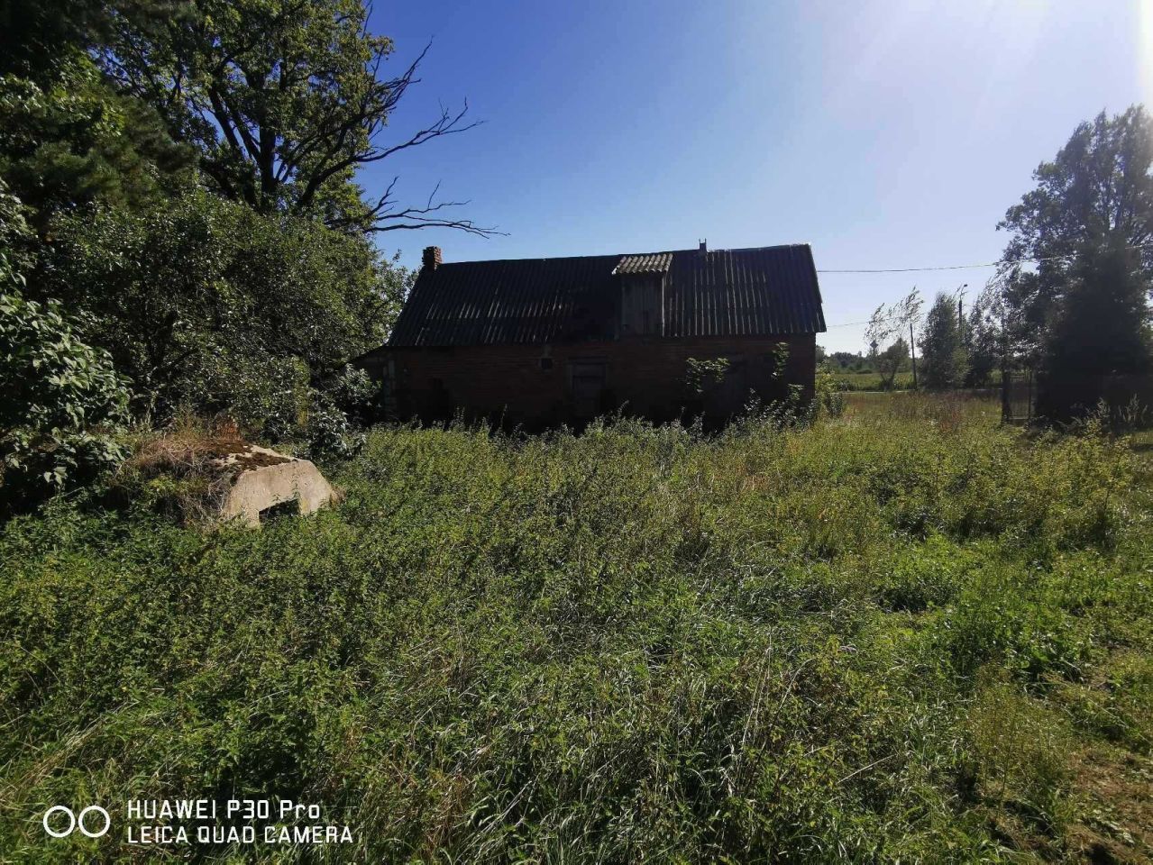 Działka siedliskowa Sierzchów. Zdjęcie 7