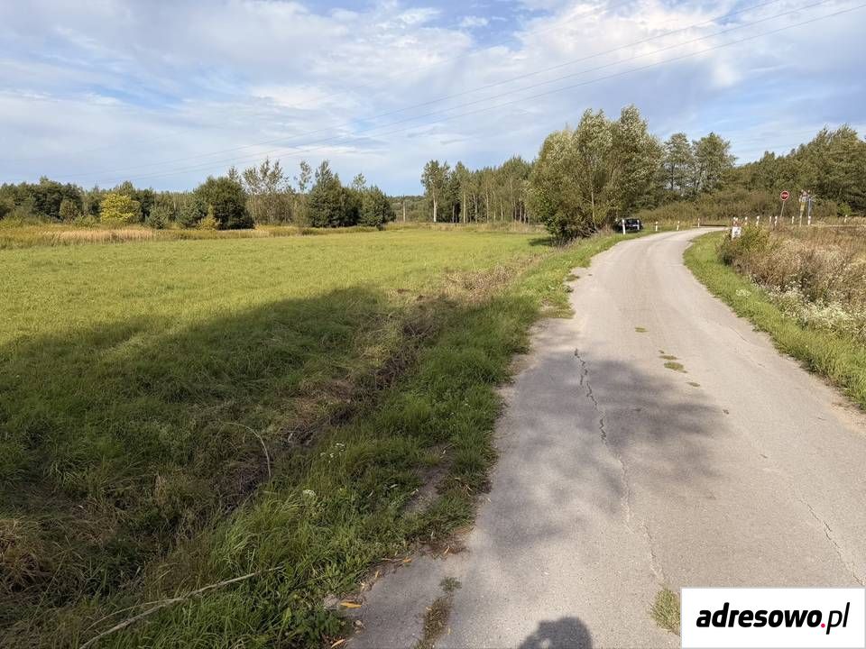 Działka rolno-budowlana Rytwiany. Zdjęcie 7