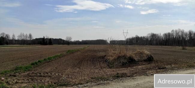 Działka budowlana Orły-Cesin. Zdjęcie 10