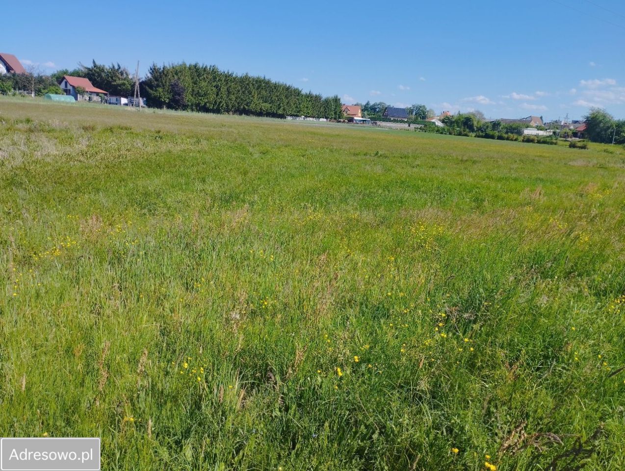 Działka rolno-budowlana Nowogród Bobrzański. Zdjęcie 7