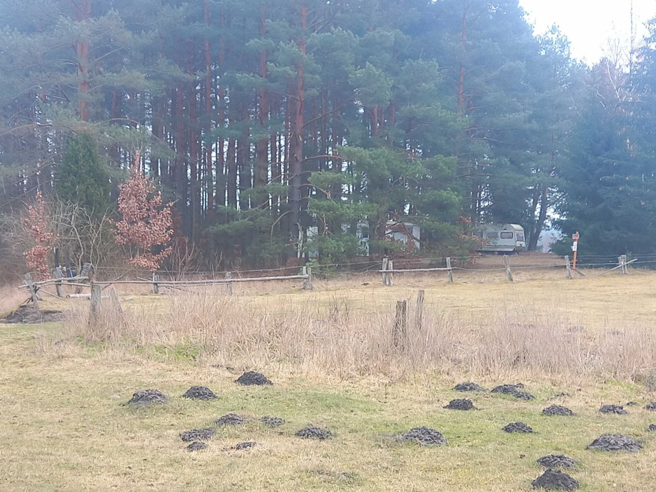 Działka rekreacyjna Miętkie. Zdjęcie 3