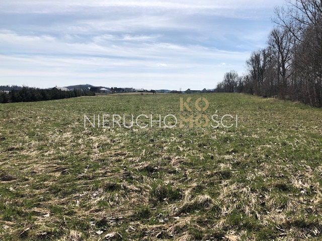 Działka budowlana Miszkowice, ul. Dębowa. Zdjęcie 10