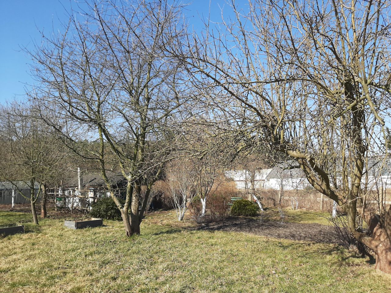 Działka rod Nowa Sól, ul. Zielonogórska. Zdjęcie 4