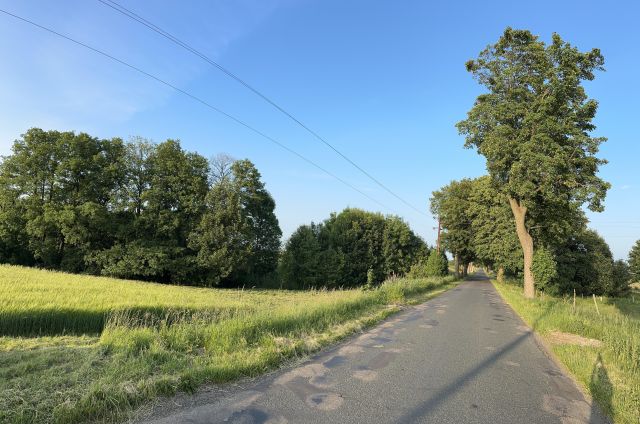 Działka budowlana Pomianowo. Zdjęcie 1