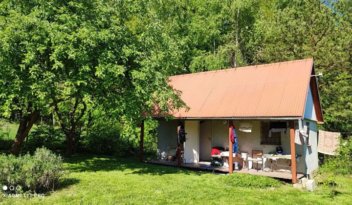 Działka rod Brzyczyna