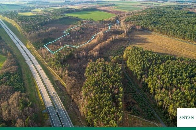 Działka inwestycyjna Strzelno, Zgorzelecka. Zdjęcie 4