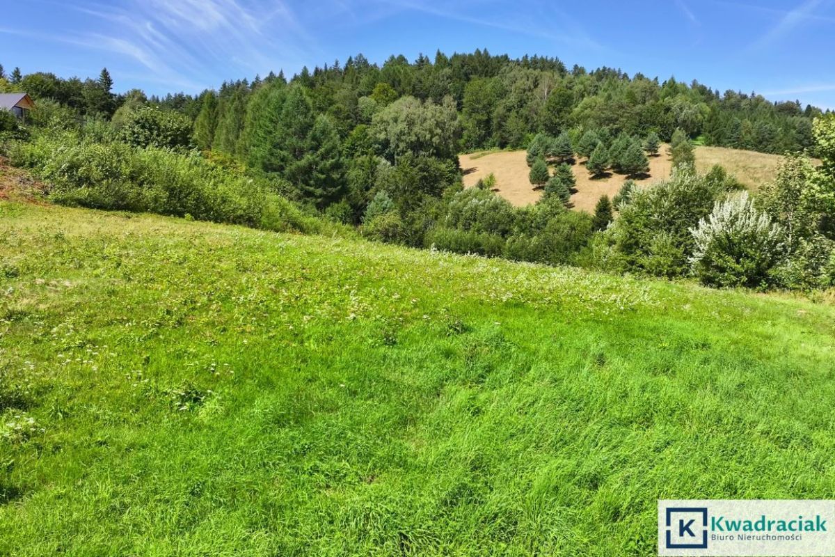 Działka budowlana Bukowiec. Zdjęcie 10