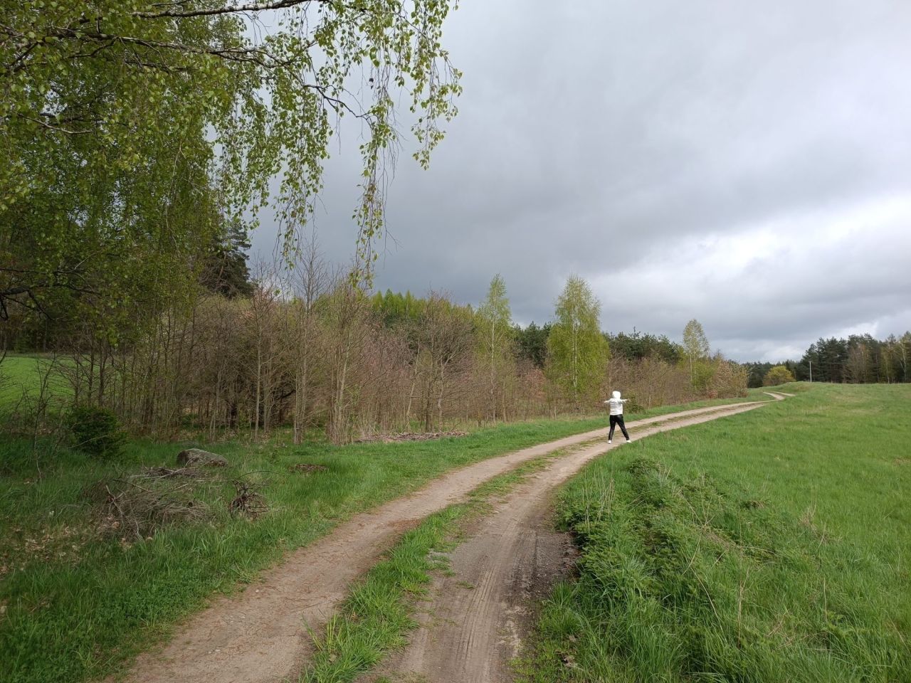 Działka leśna Wierzbowo. Zdjęcie 3