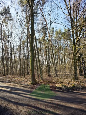 Działka budowlana Bełk, ul. Palowicka. Zdjęcie 5