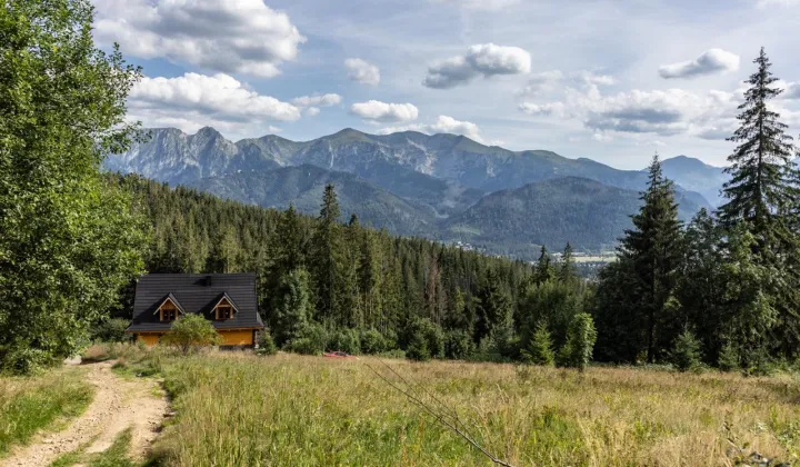 Działka inna Kościelisko Butorów, ul. Królewska