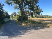 Działka rolno-budowlana Studniska Dolne. Zdjęcie 1