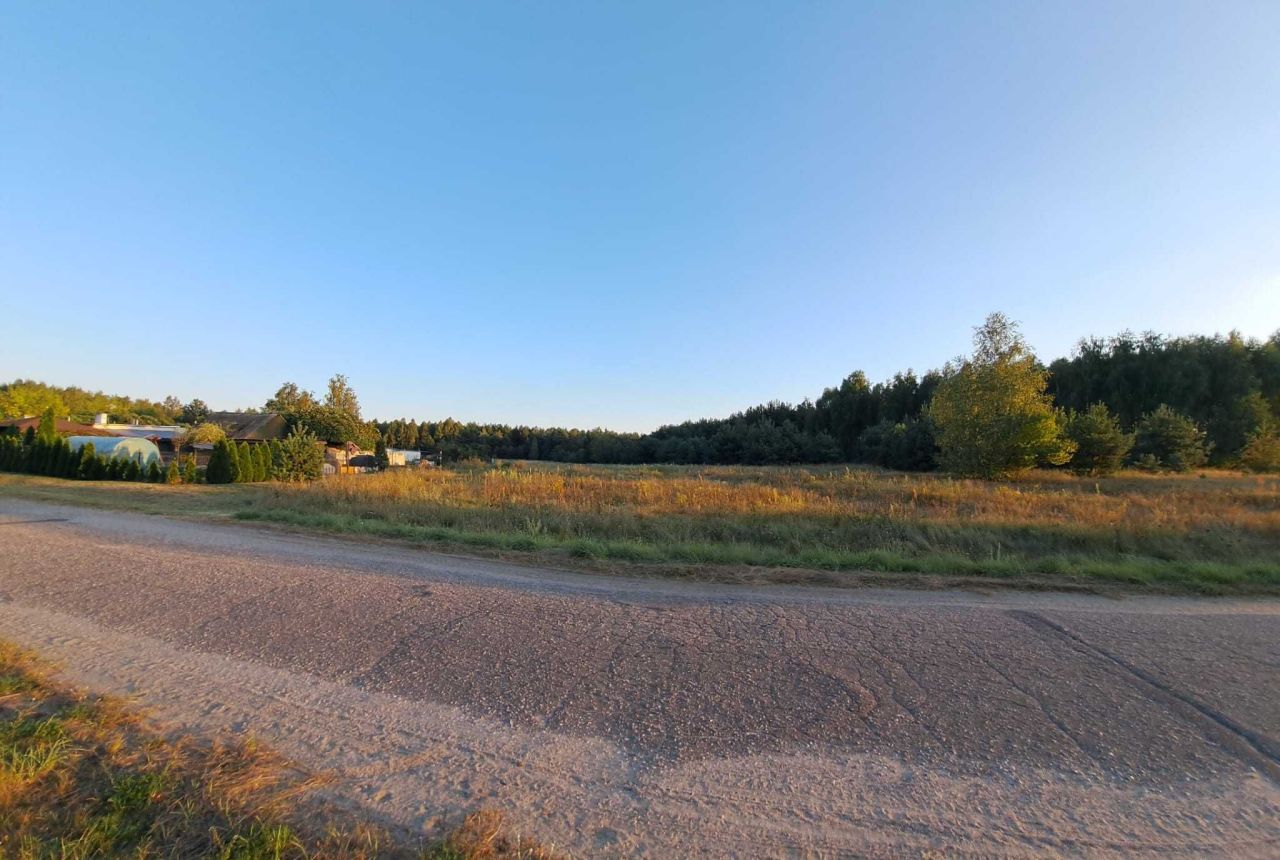 Działka siedliskowa Orłowo. Zdjęcie 5