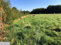 Działka rolno-budowlana Świeradów-Zdrój. Zdjęcie 2