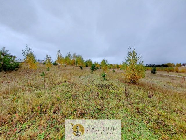 Działka Otomino. Zdjęcie 3