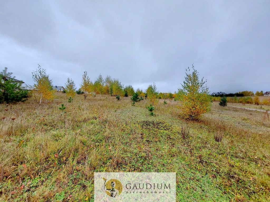 Działka Otomino. Zdjęcie 3