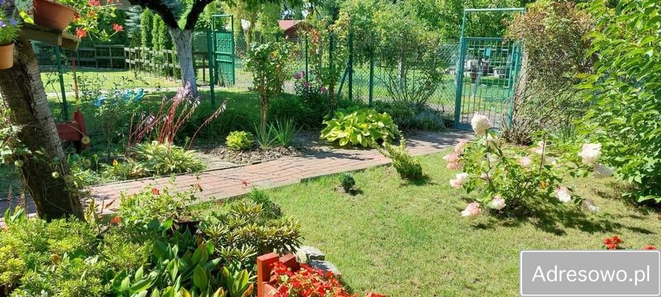 Działka rod Katowice Szopienice. Zdjęcie 2