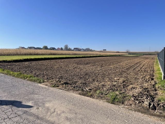 Działka rolno-budowlana Goszyce, ul. Kosynierów. Zdjęcie 1