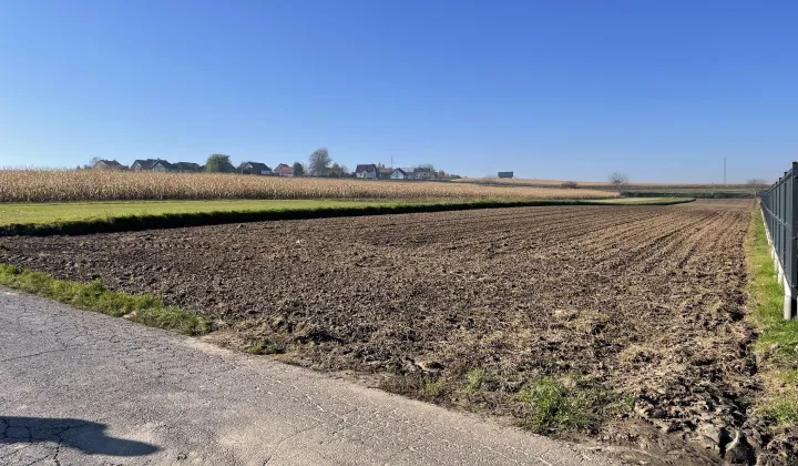 Działka rolno-budowlana Goszyce, ul. Kosynierów