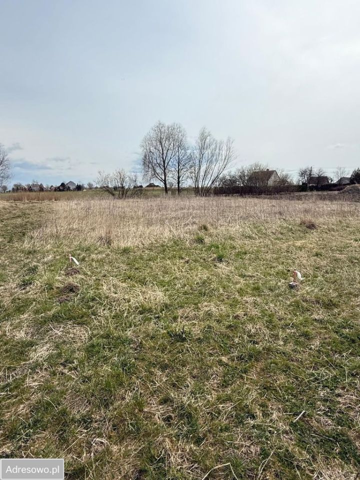 Działka budowlana Kobyla Kępa. Zdjęcie 3