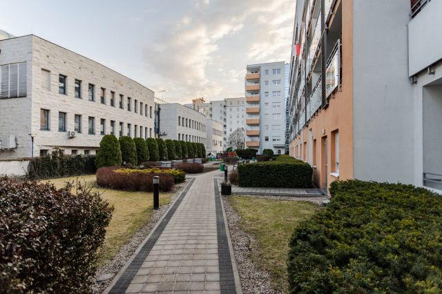 Mieszkanie 3-pokojowe Poznań Grunwald, ul. Rynarzewska. Zdjęcie 21