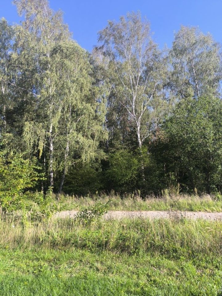 Zdjęcie 5