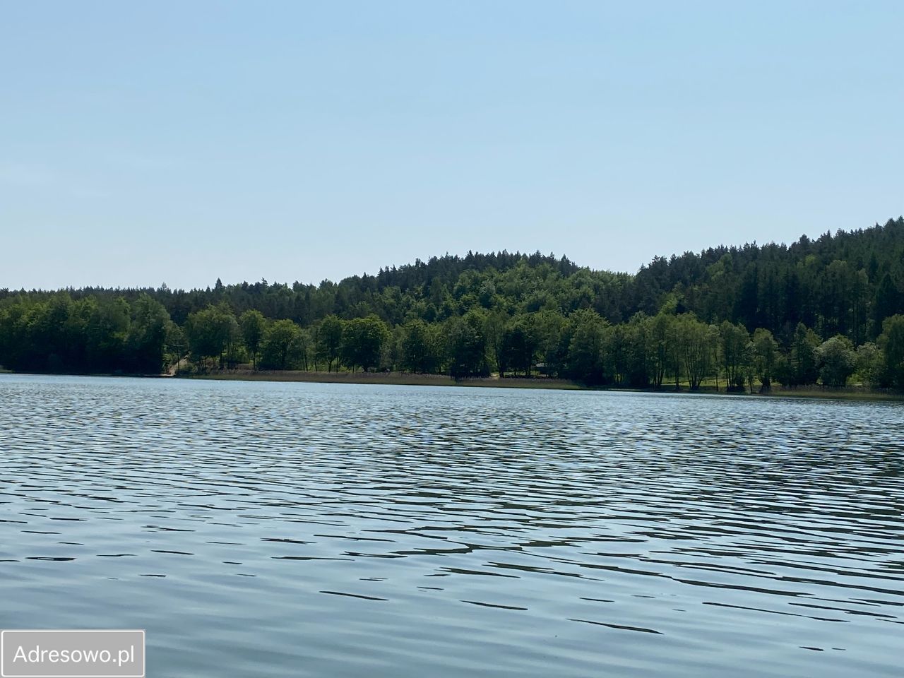 Działka rekreacyjna Stężyca. Zdjęcie 16