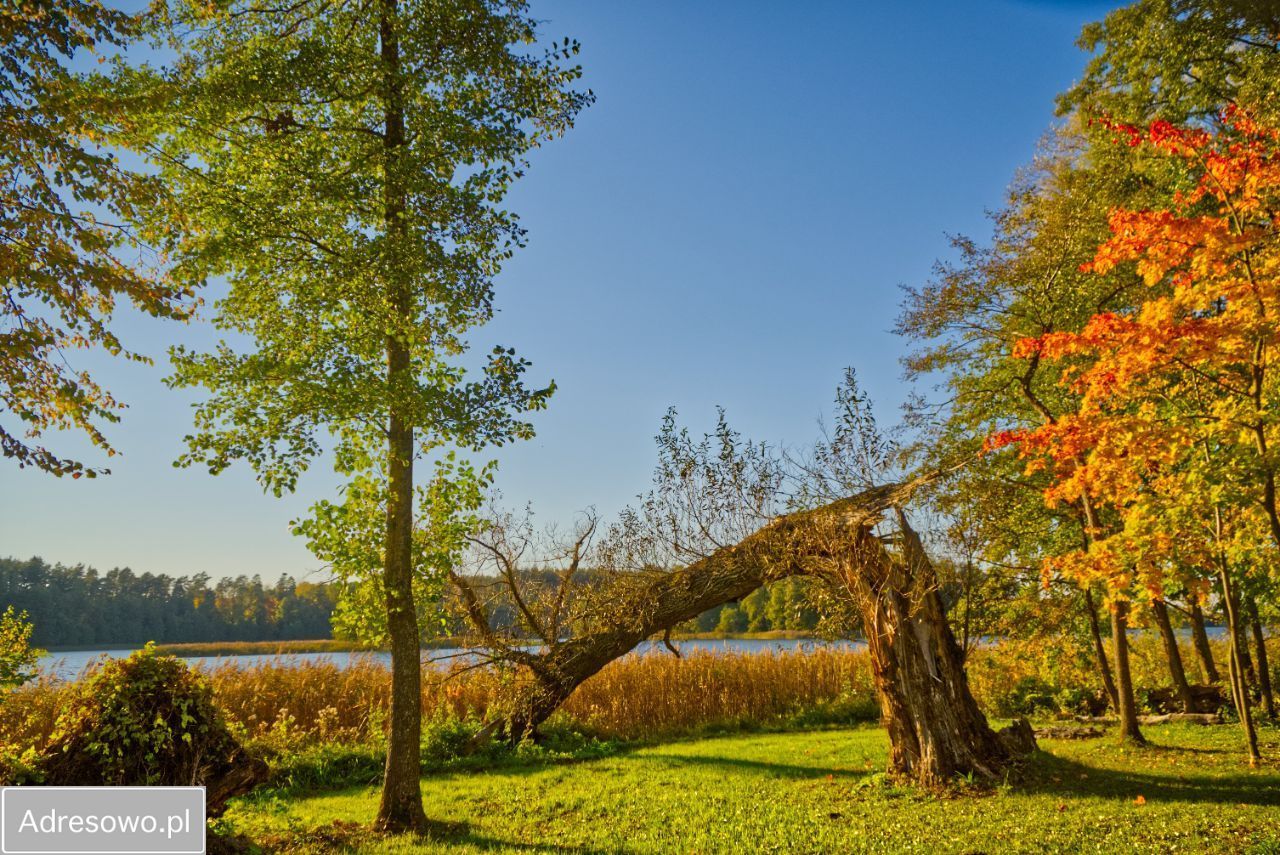 Działka rolno-budowlana Świętajno. Zdjęcie 8