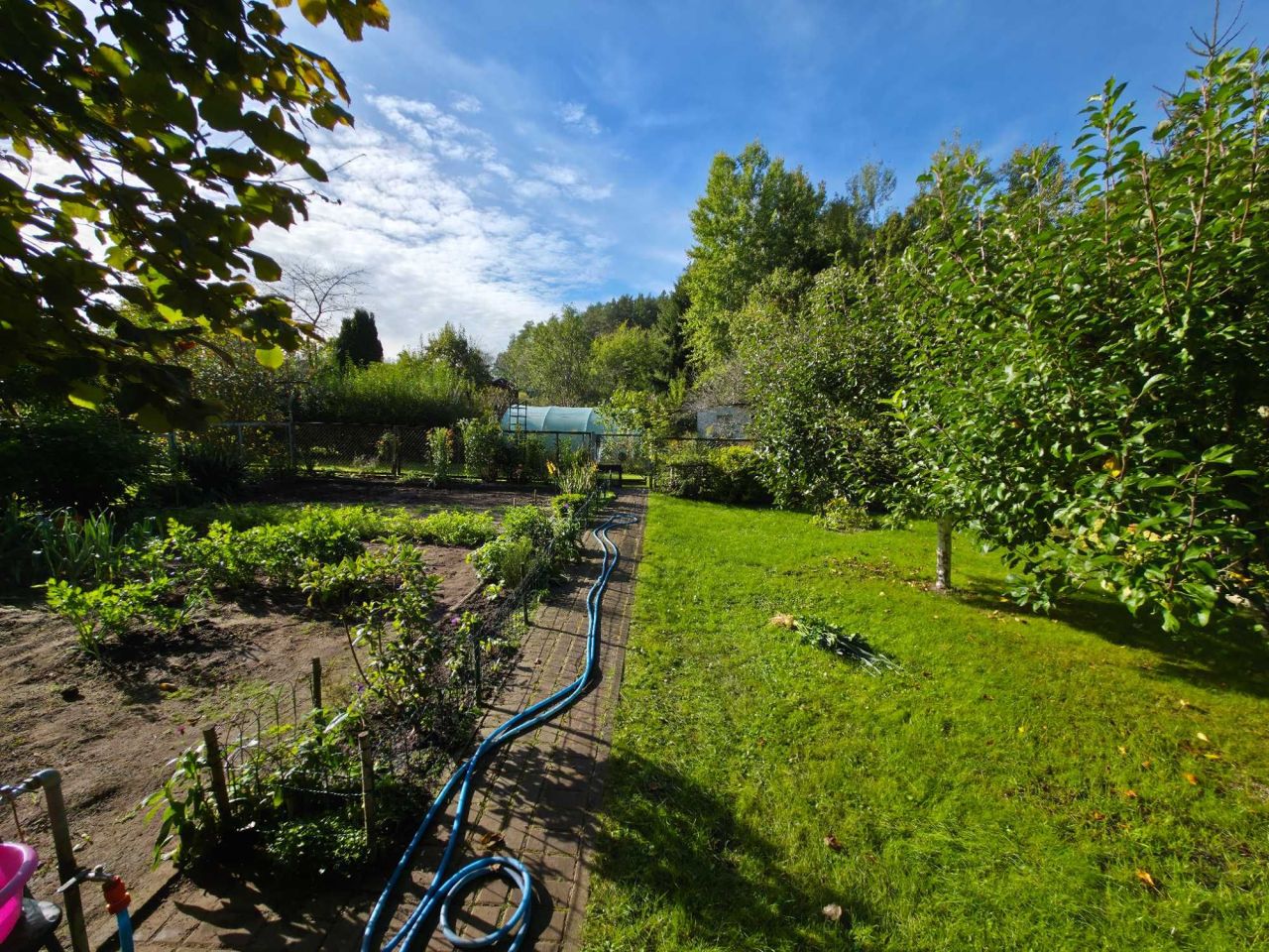 Działka rod Olsztyn. Zdjęcie 5