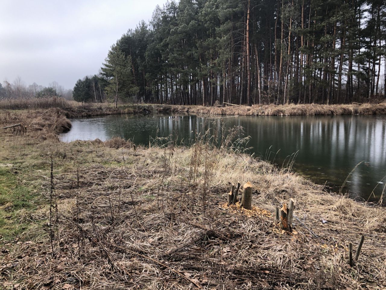 Działka rekreacyjna Osjaków, ul. Wesołe Kąty. Zdjęcie 10