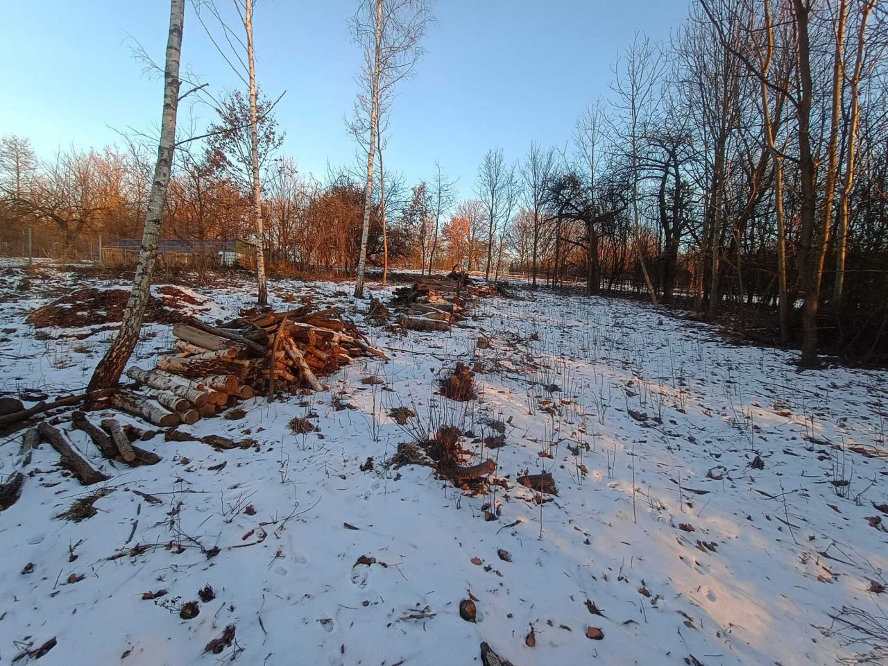 Działka budowlana Chrosna. Zdjęcie 6