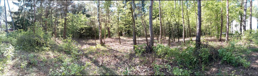 Działka budowlana Tartak Brzózki, ul. Letniskowa. Zdjęcie 8