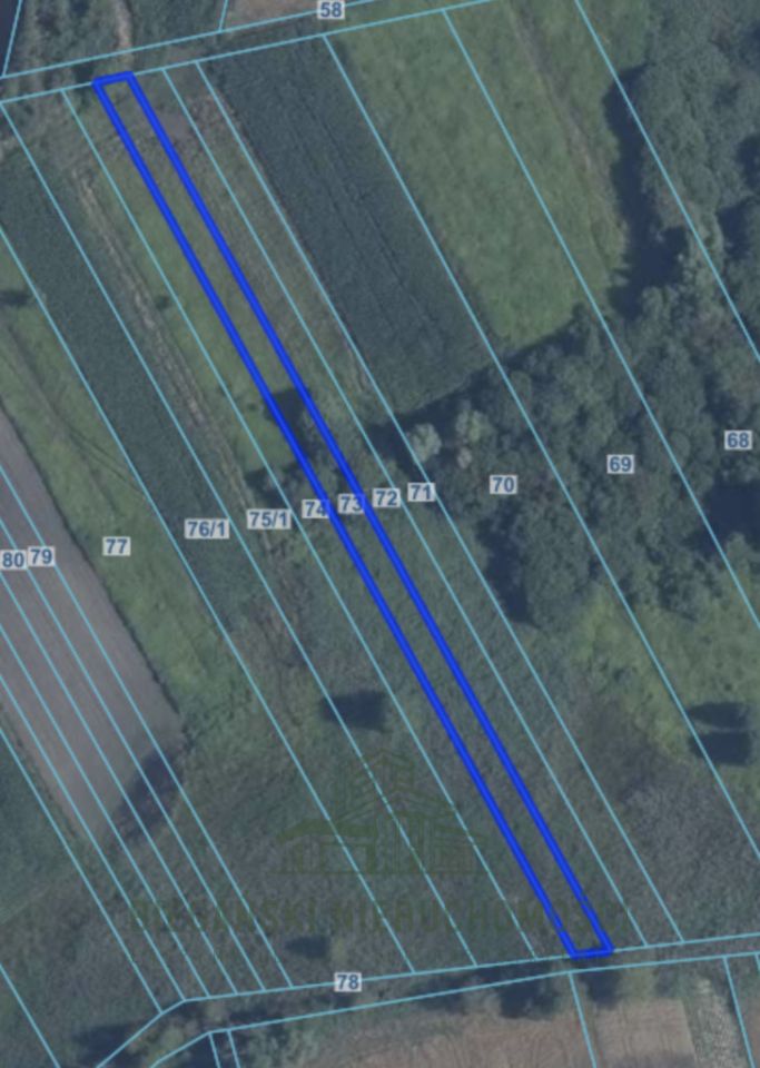 Działka rolna Łysołaje. Zdjęcie 2