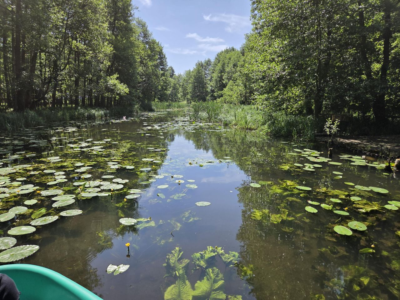 dom wolnostojący, 5 pokoi Borowe. Zdjęcie 23