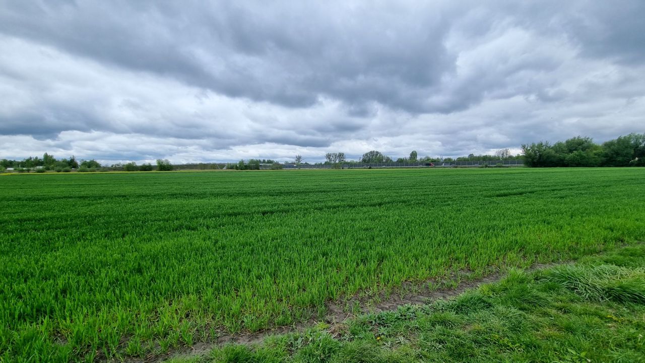 Działka rolna Żuków. Zdjęcie 9