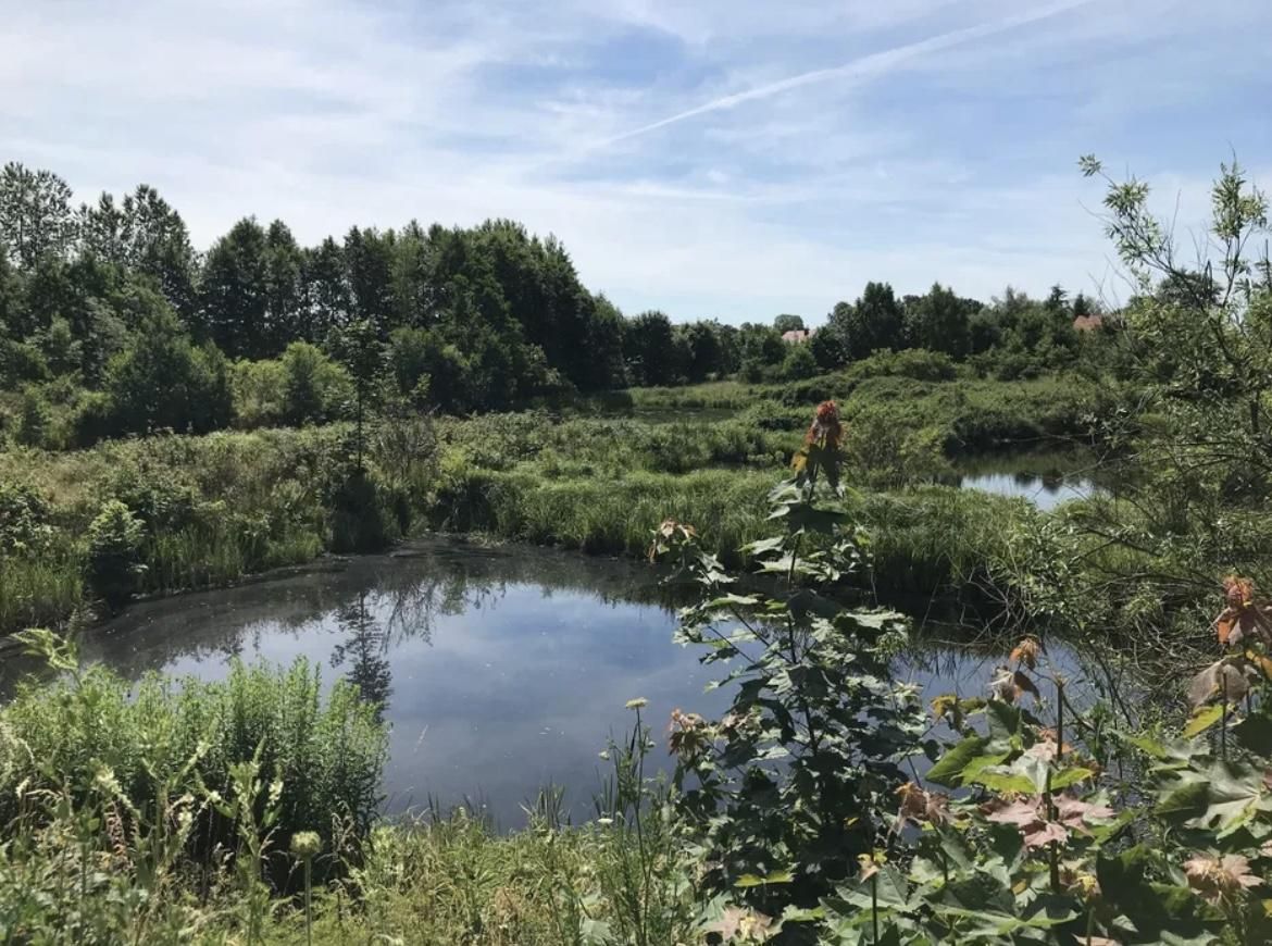 Działka rolno-budowlana Bałamątek, ul. Spacerowa. Zdjęcie 4