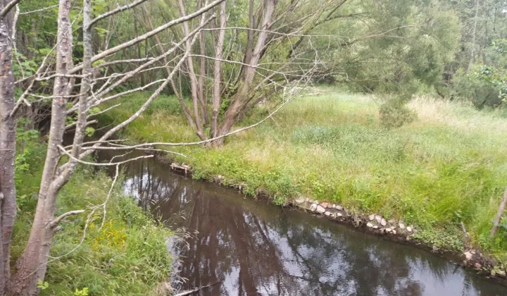 Działka budowlana Lipie