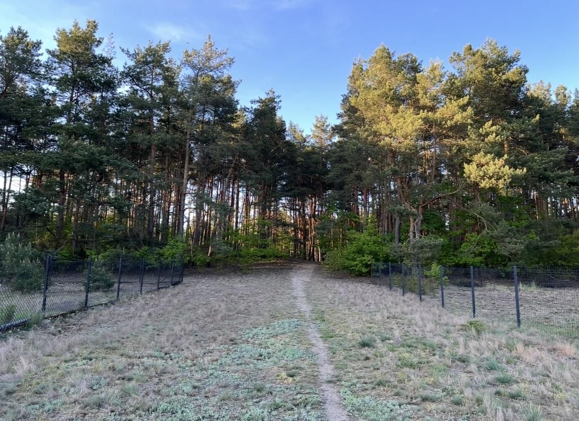 Działka rolno-budowlana Mariew, ul. Kwiatowa. Zdjęcie 2