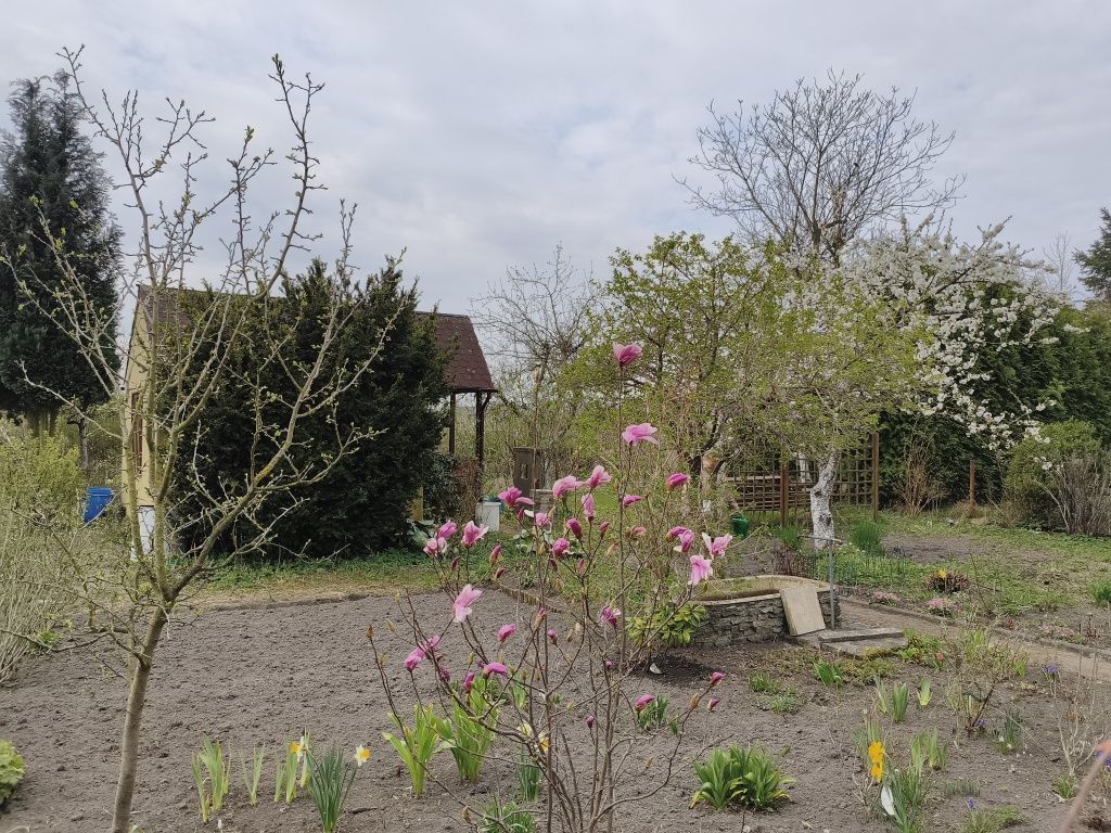 Działka rod Szczecin Zawadzkiego-Klonowica, ul. Modra. Zdjęcie 7