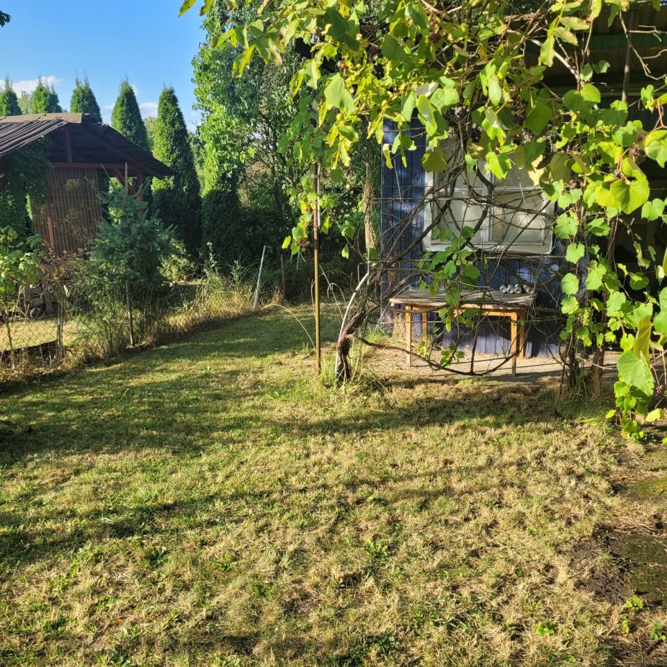 Działka rod Gliwice Stare Gliwice. Zdjęcie 6