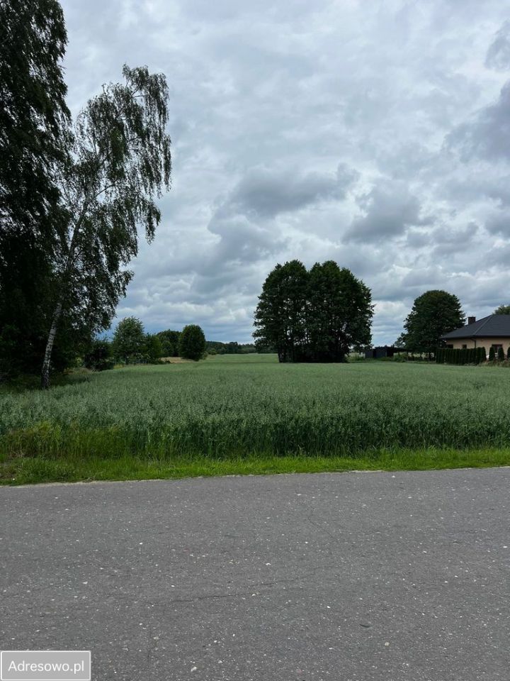 Działka budowlana Guzew. Zdjęcie 5