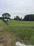 Działka budowlana Bruki Kokocka. Zdjęcie 2