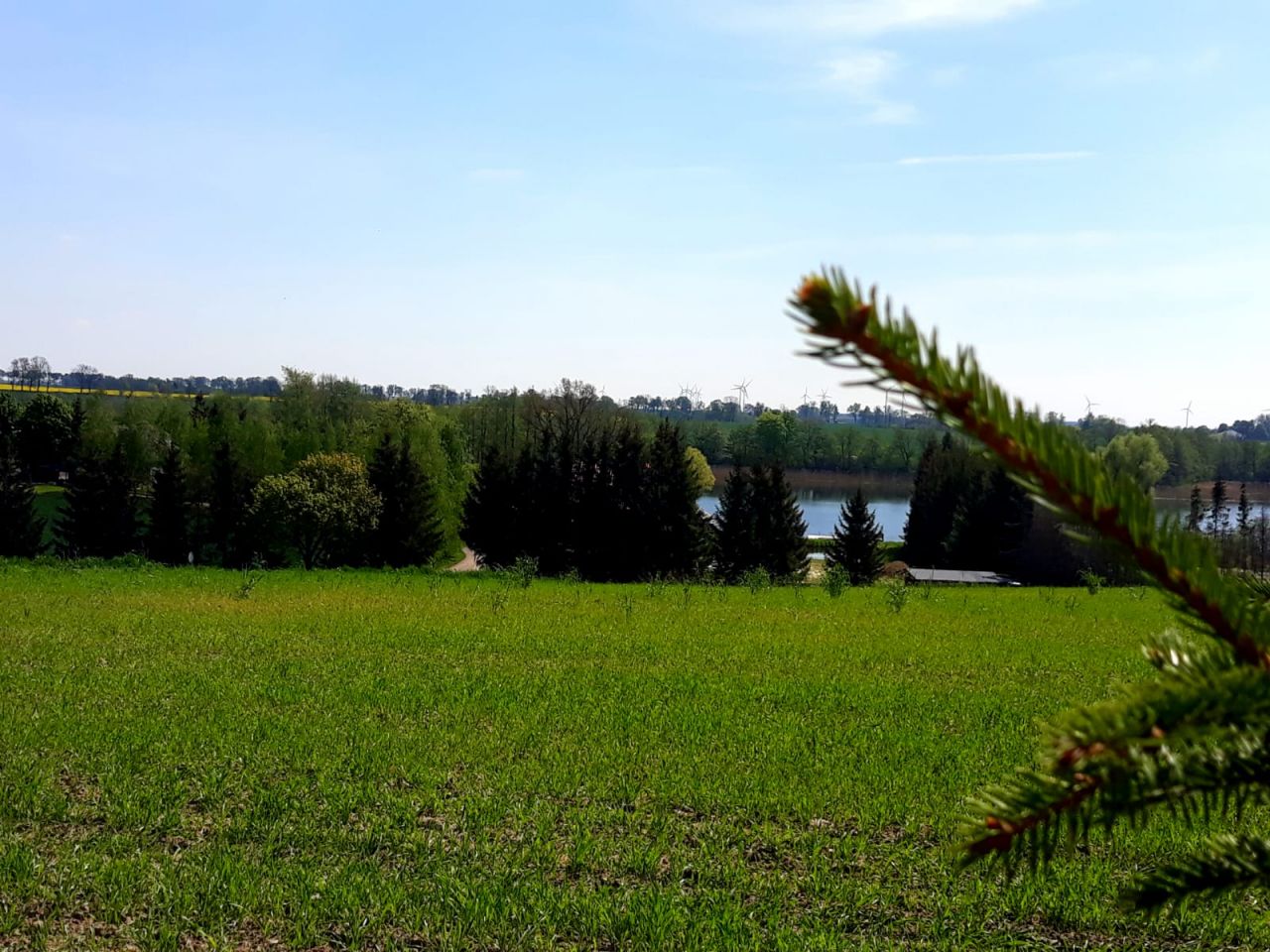 Działka rolno-budowlana Gruta. Zdjęcie 6