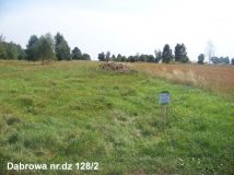 Działka rolno-budowlana Dąbrowa. Zdjęcie 1