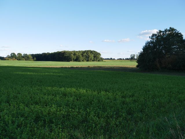 Działka budowlana Kurkocin. Zdjęcie 1