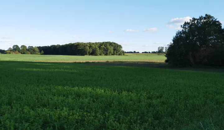 Działka budowlana Kurkocin