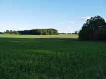 Działka budowlana Kurkocin. Zdjęcie 1