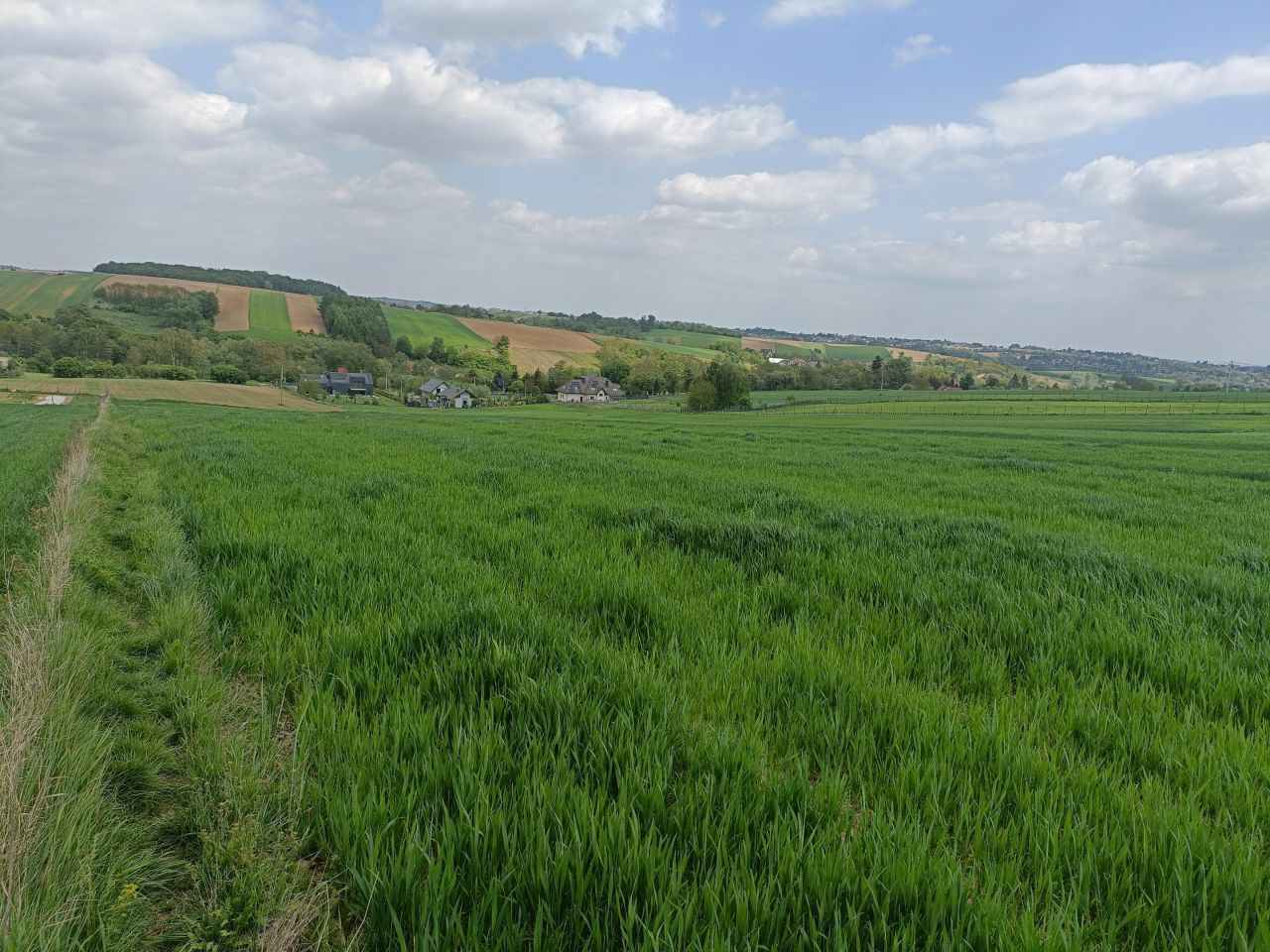 Działka rolna Maciejowice